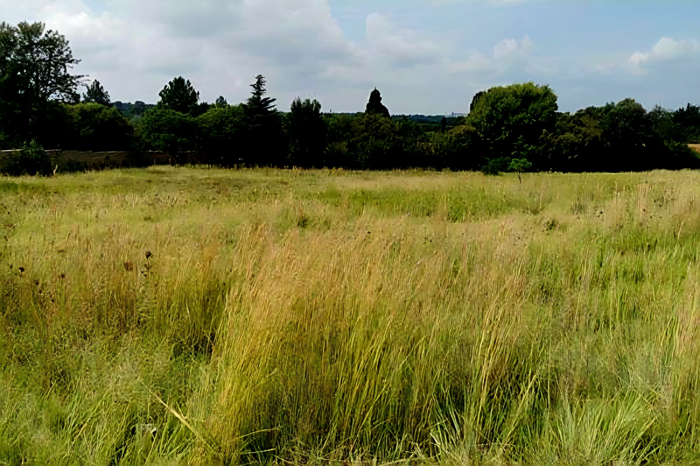 Vacant land plot for sale
