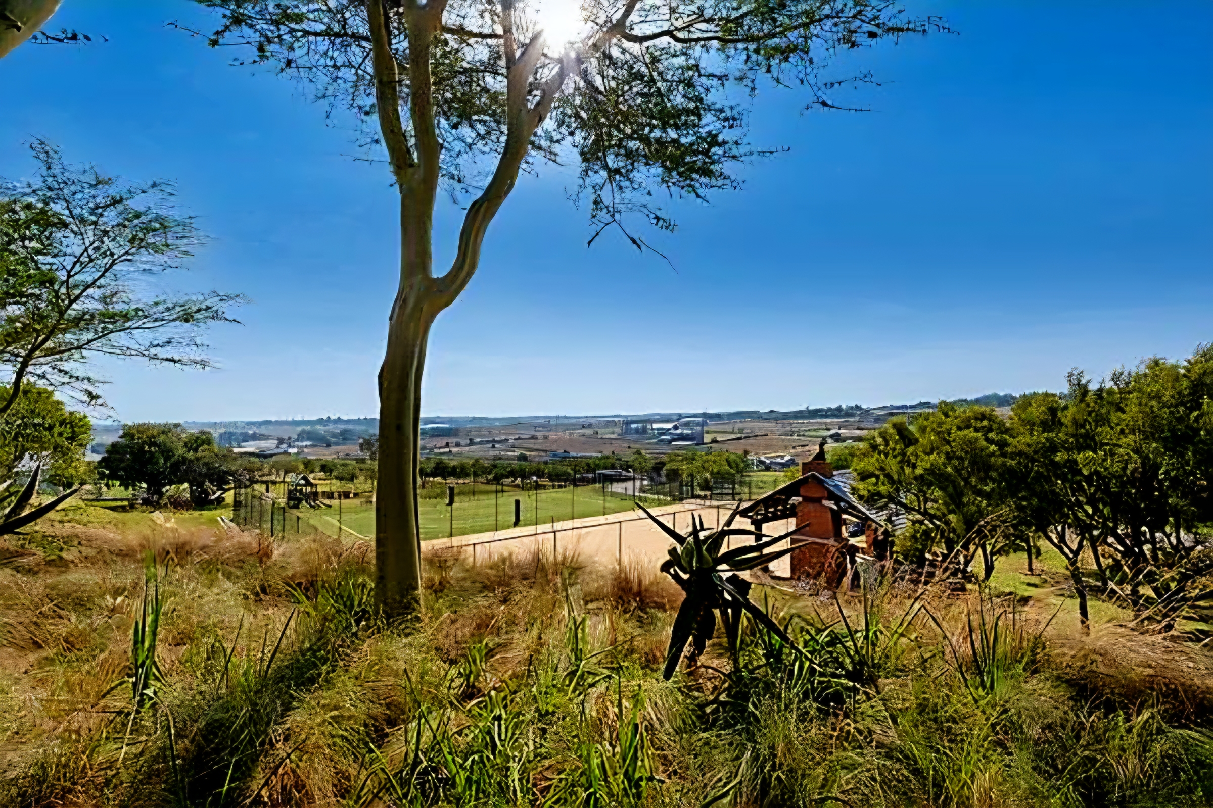 Plot for sale. Vacant land
